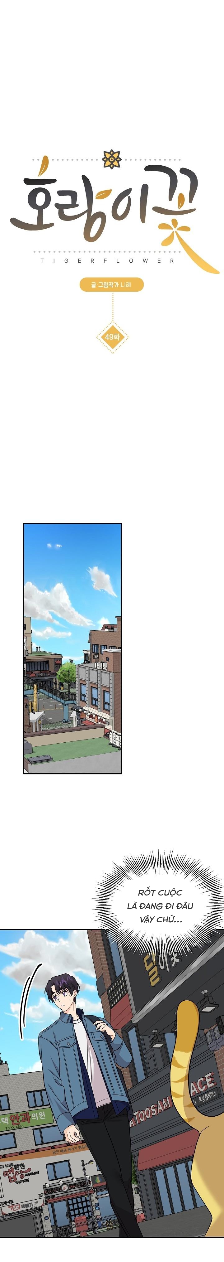 hoa ly hổ chapter 49 8