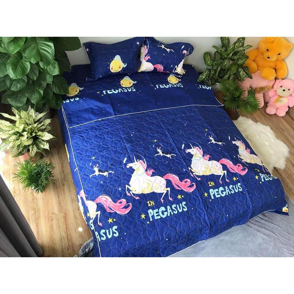 BỘ CHĂN GA COTTON POLY TRẦN BÔNG