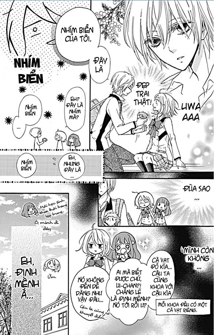 primo prima! chapter 1 8