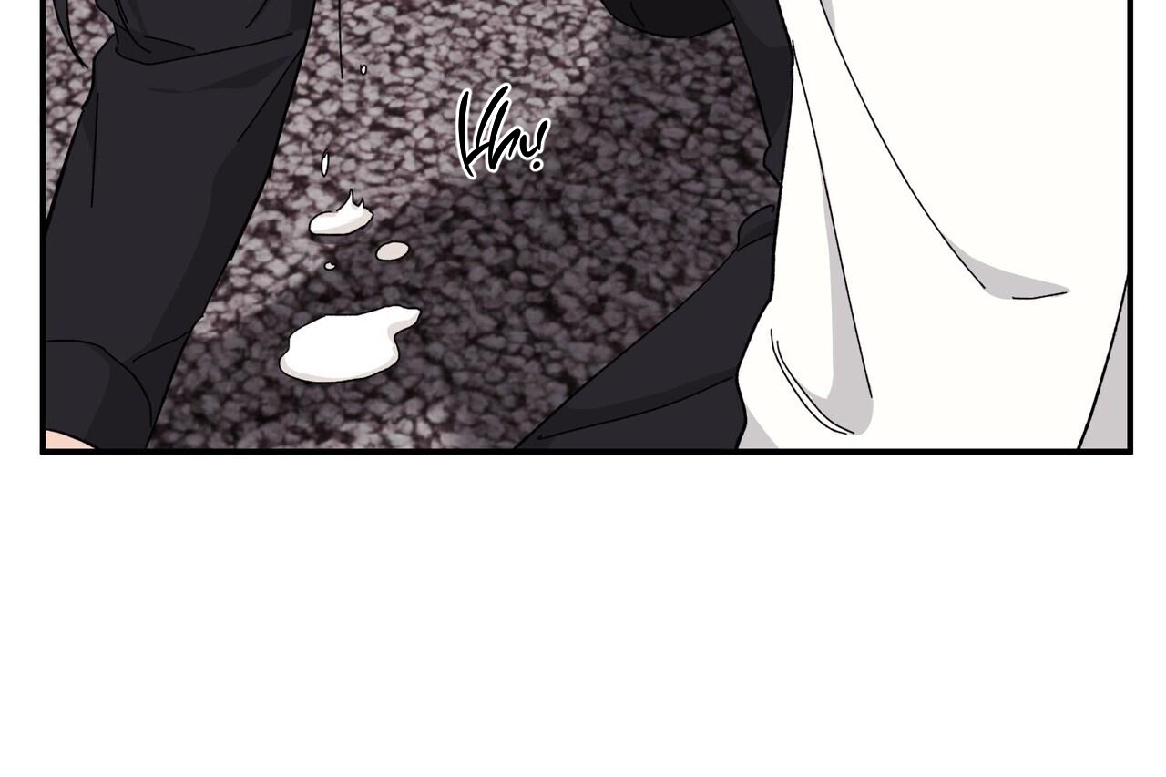 chàng dâu nhà họ kang chapter 34 133