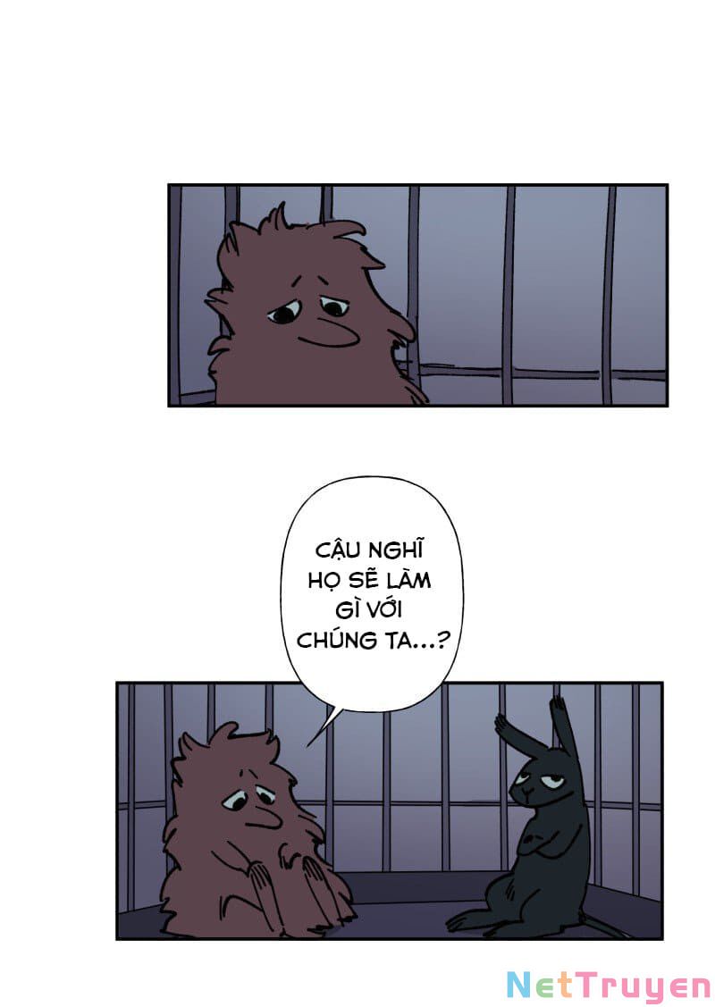 lumine - cội nguồn ánh sáng chapter 82 26