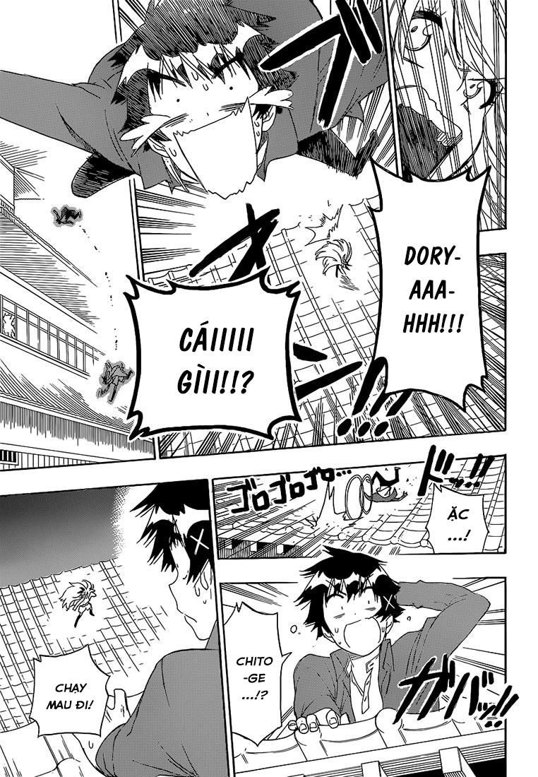 nisekoi - tình yêu giả tạo chapter 186 7