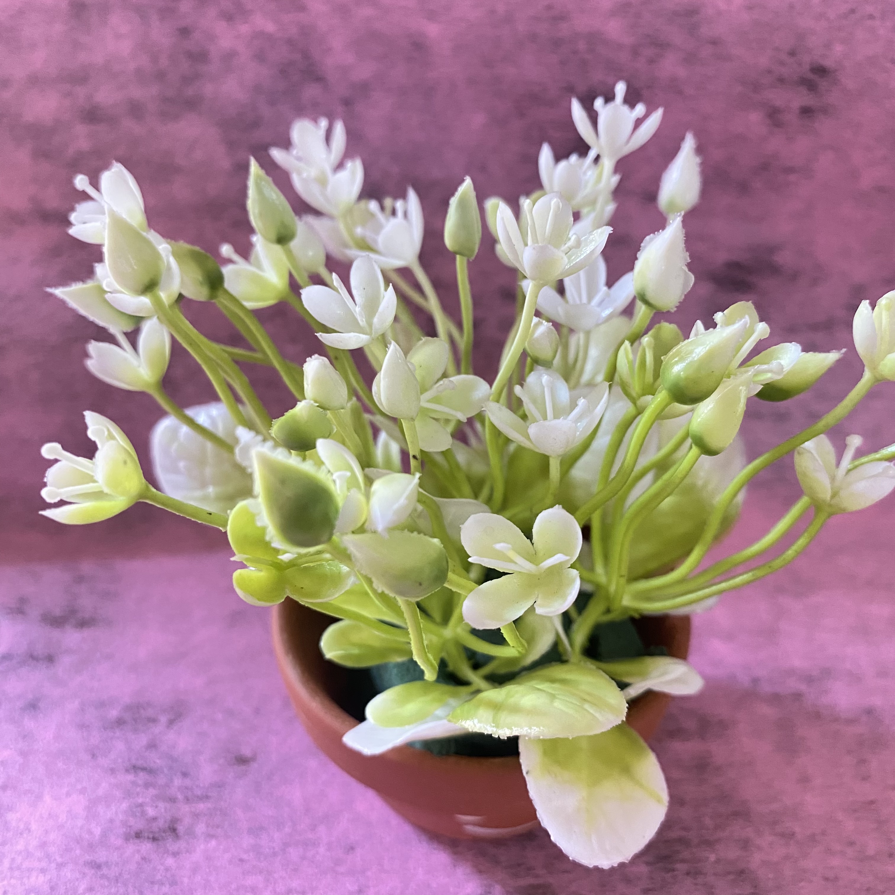 Chậu hoa điểm handmade trang trí mini, kèm chậu -8cm -12cm