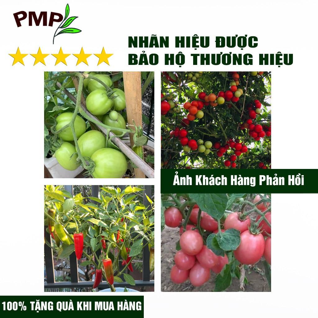 Combo 2 Chai Dịch Chuối Humic PMP Vi Sinh Chuyên Dùng Cho Hoa Hồng, Rau Sạch 1L/Chai