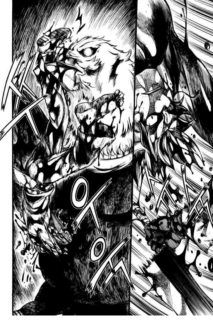 la mosca chapter 12 15