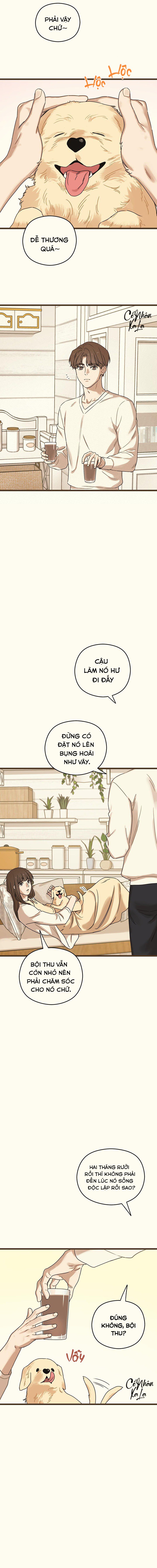 trùng phùng chapter 27 5