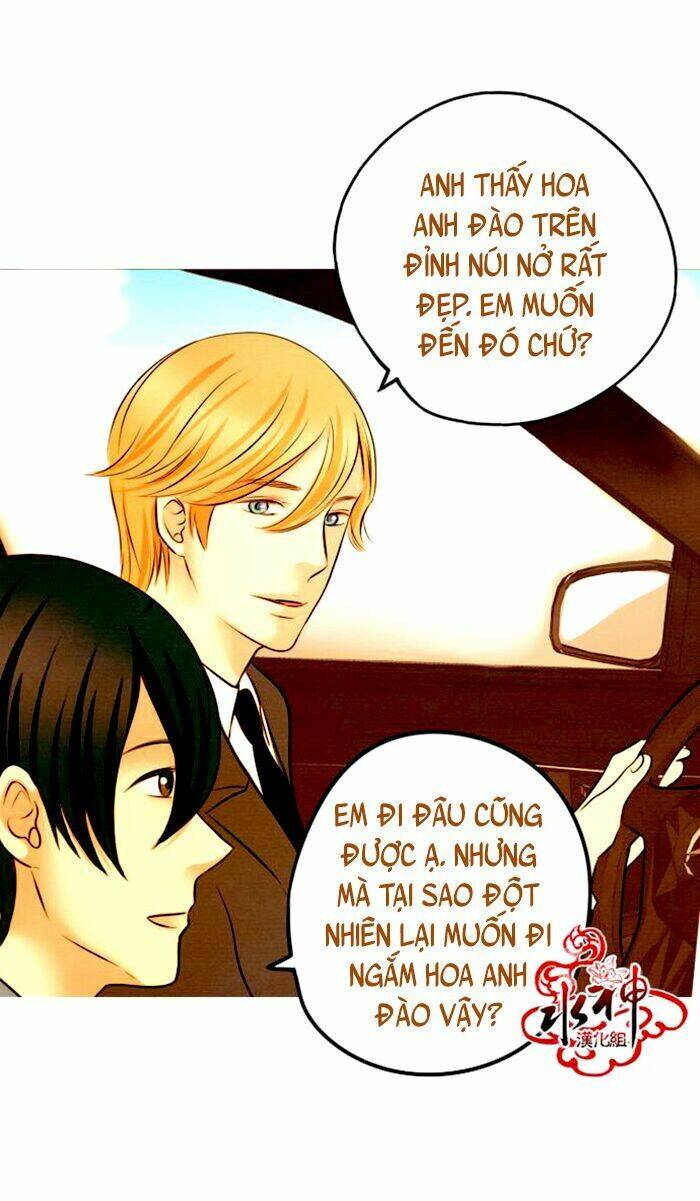 something sweet chapter 12 13