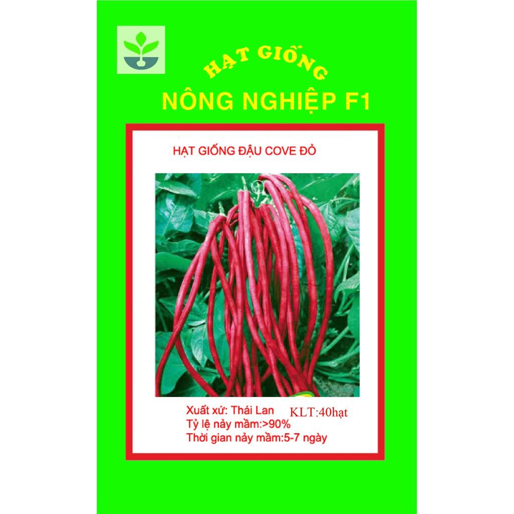 Gói 40 hạt giống đậu đũa đỏ