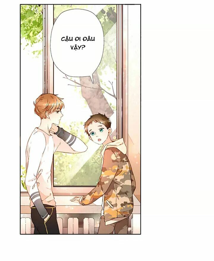 Tình yêu là màu hoa anh thảo chapter 16.2 19