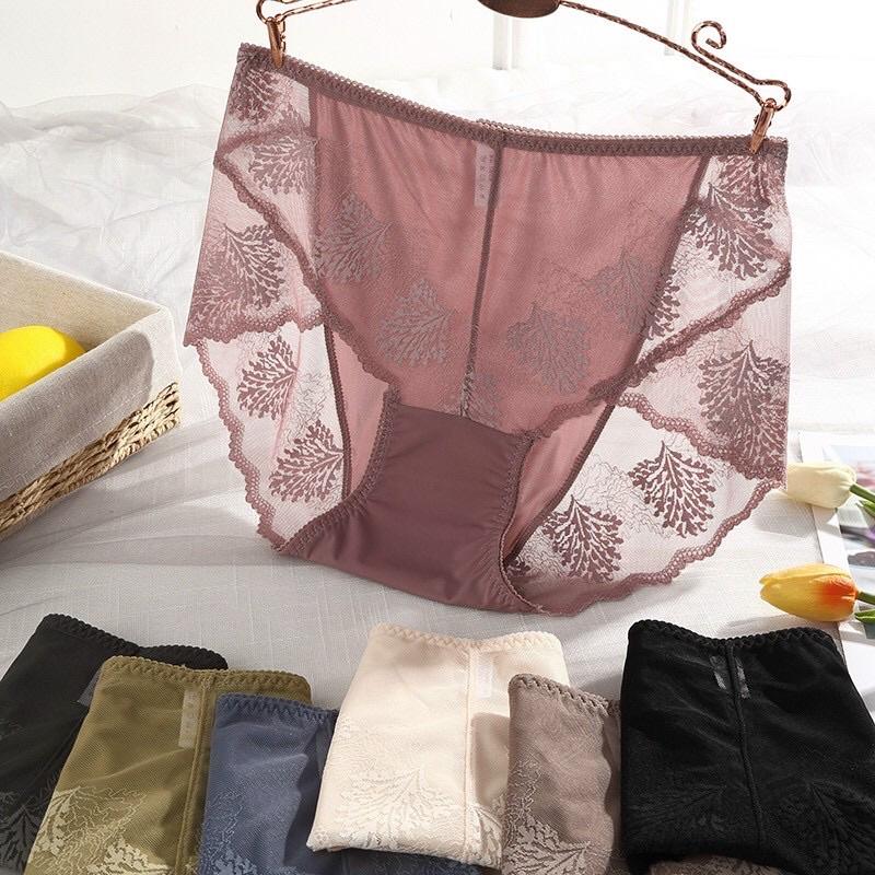 Quần Chip nữ bigsize - quần chip ren thời trang