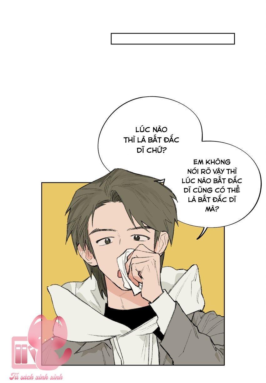 con thỏ rơi vào bẫy tin đồn chapter 12 19