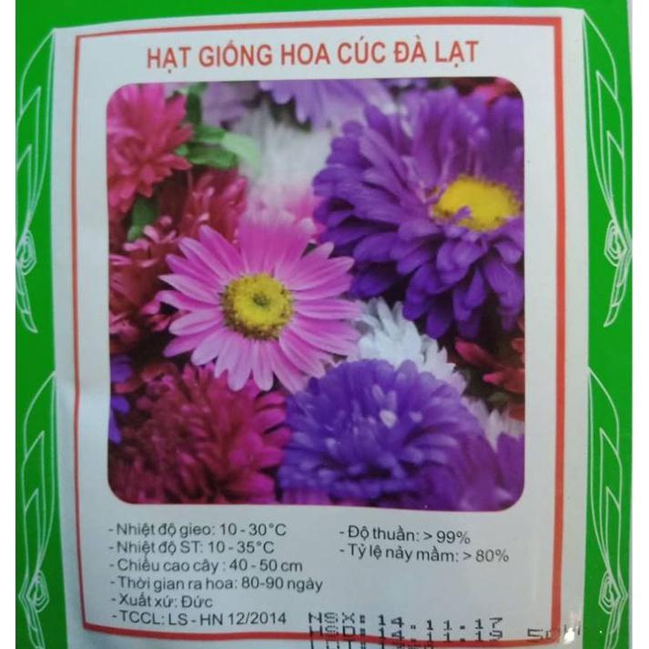 Hạt giống hoa cúc đà lạt nhiều màu - gói 50 hạt