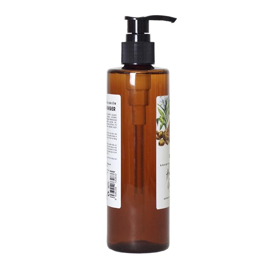 Sữa tắm Honey & Ginger
