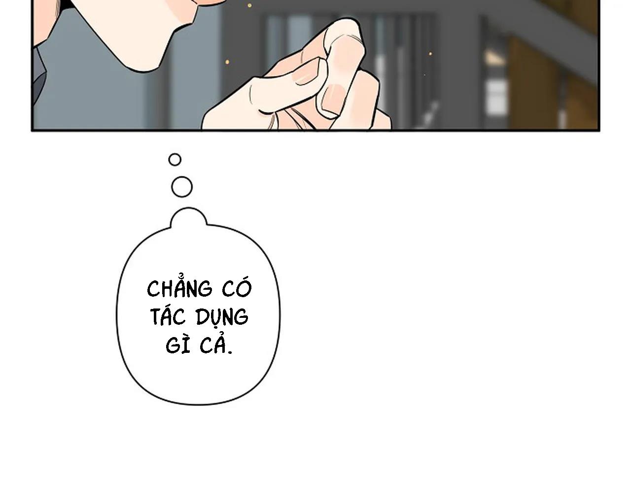 đêm dịu dàng chapter 26 37