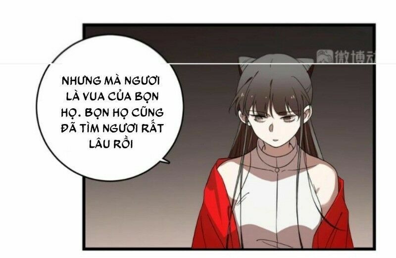 độc bộ thiên hạ: đặc công thần y chapter 218 9