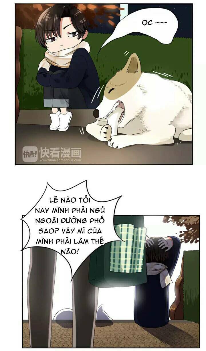 chào buổi sáng, hướng dương chapter 3 49