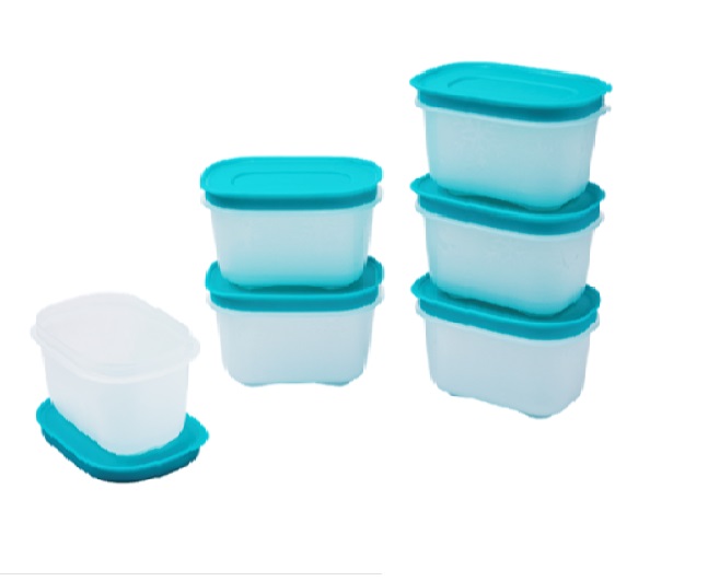 Bộ 6 hộp trữ đông Mini Freezermate Gen II-Tupperware