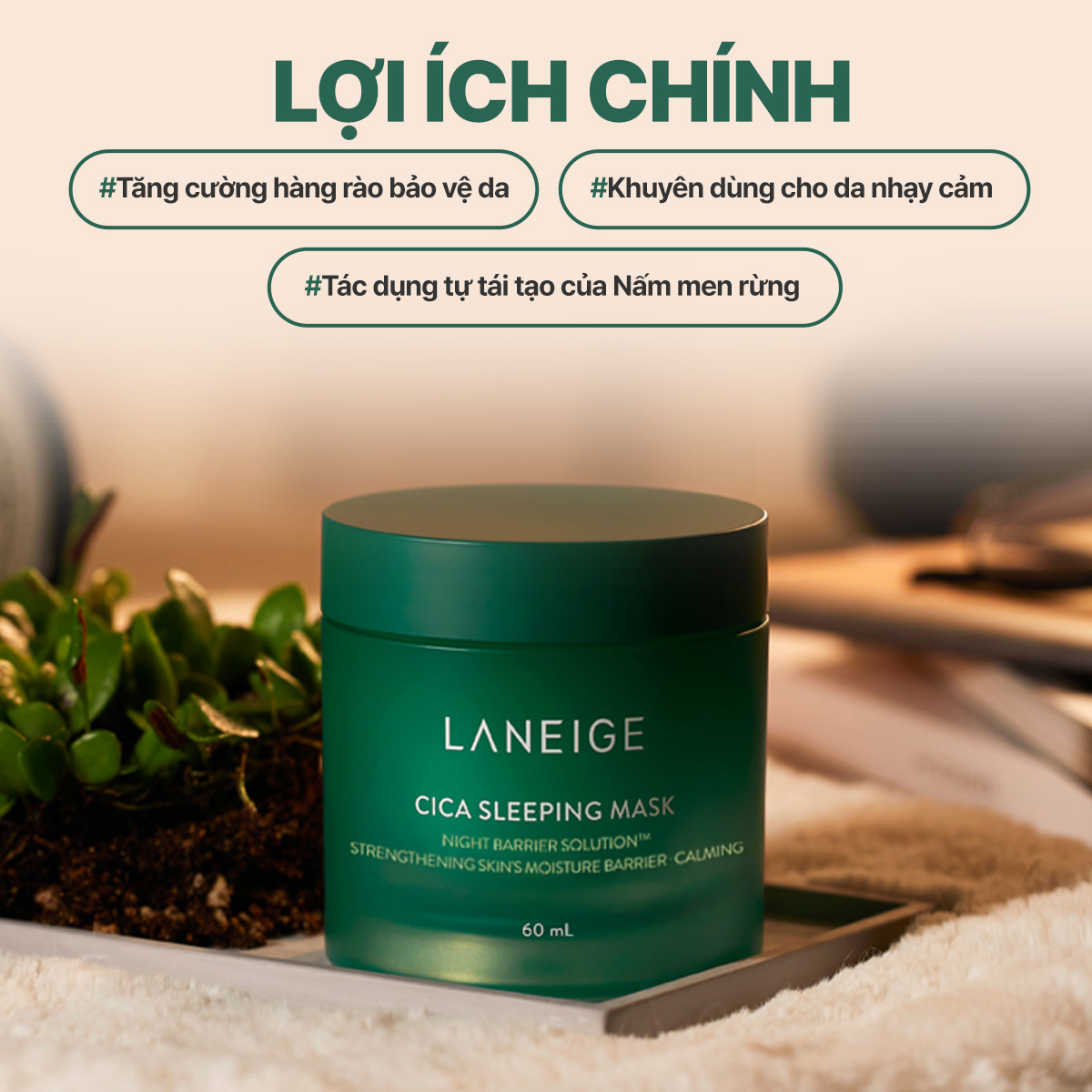 Mặt Nạ Ngủ Phục Hồi Laneige Cica Sleeping Mask EX