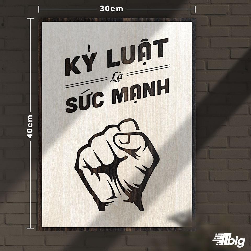 Tranh động lực TBIG128: Kỷ luật là sức mạnh 30x40cm