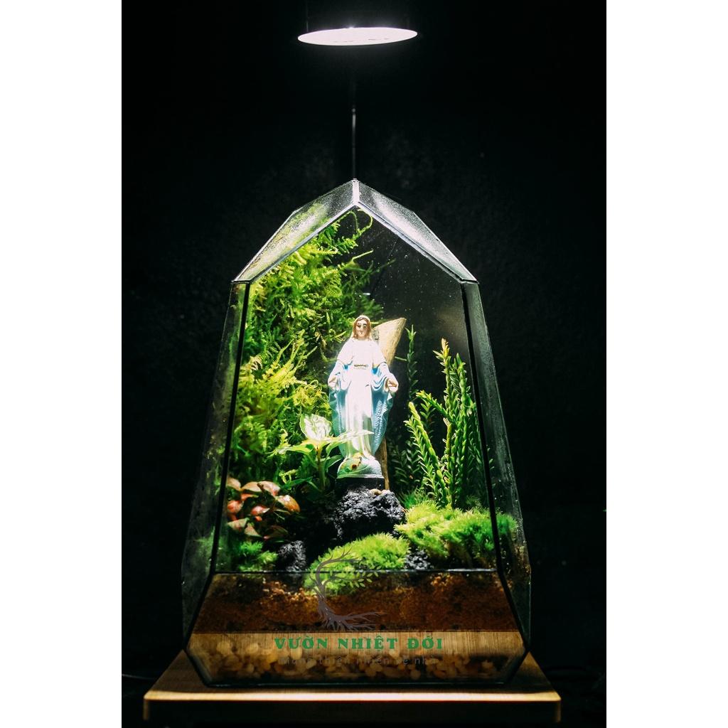 Bể Terrarium Đa Giác Setup Bán Cạn Để Bàn Làm Việc