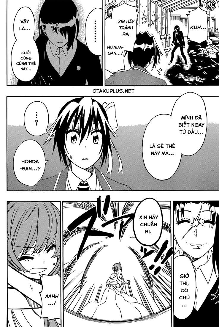 nisekoi - tình yêu giả tạo chapter 192 19