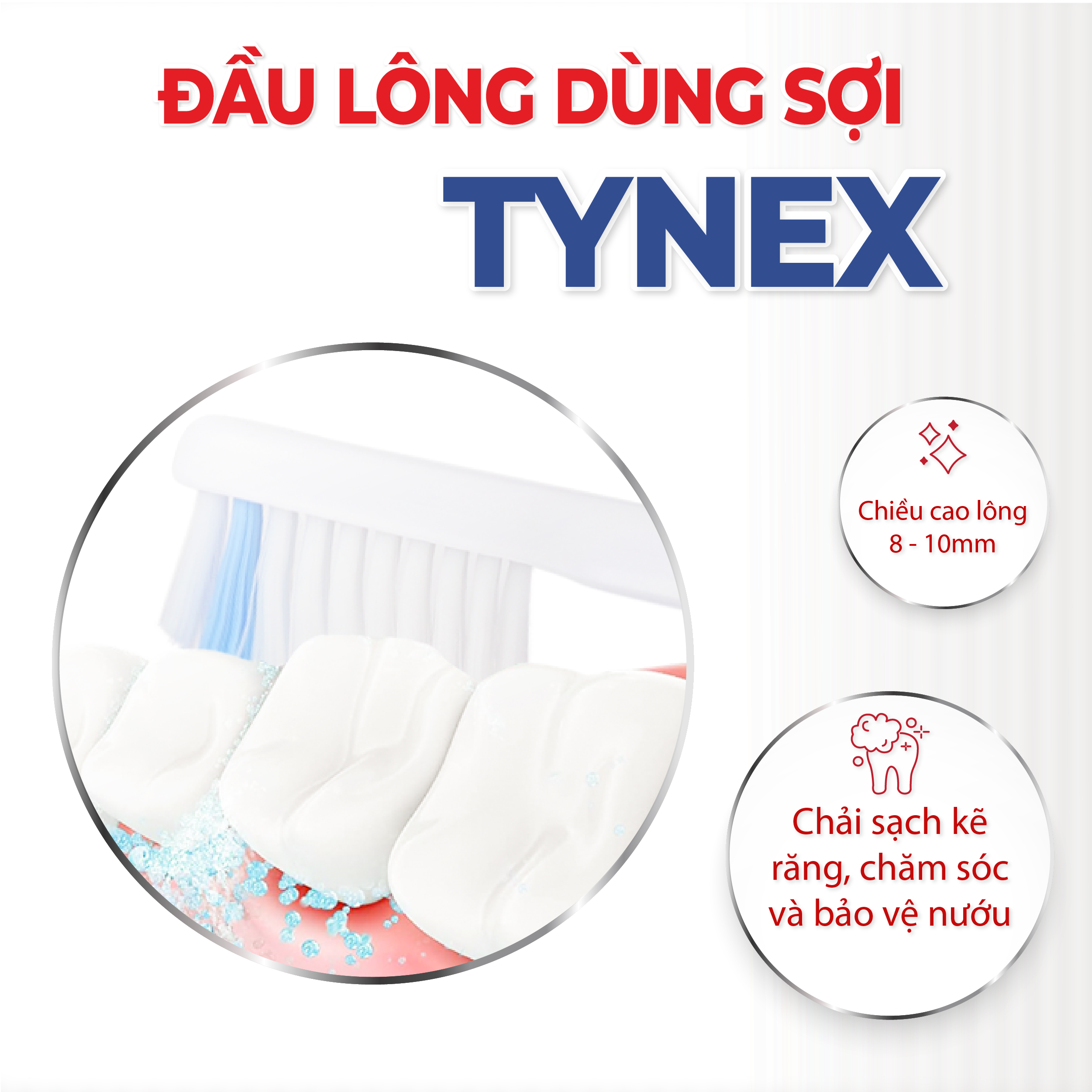 Vỉ 2 Đầu Bàn Chải Điện Lông Tynex LT1 Thay Thế Sau 3 Tháng Tương Thích Với Bàn Chải Điện Thông Minh Lipzo Sóng Âm Sonic