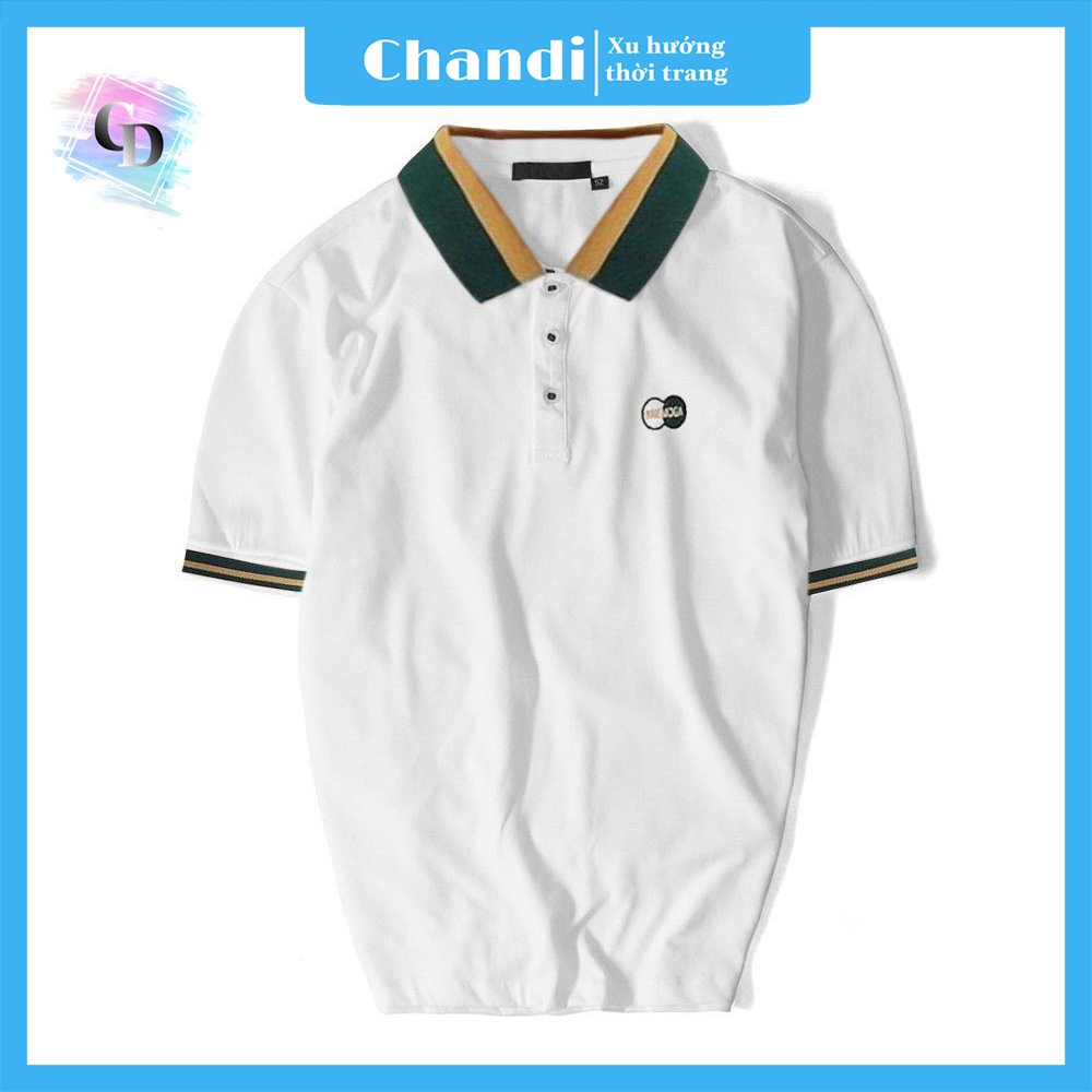 Áo Thun Nam Ngắn Tay Thương Hiệu Chandi, Chất Thun Cotton Xịn Mẫu Mới NH20