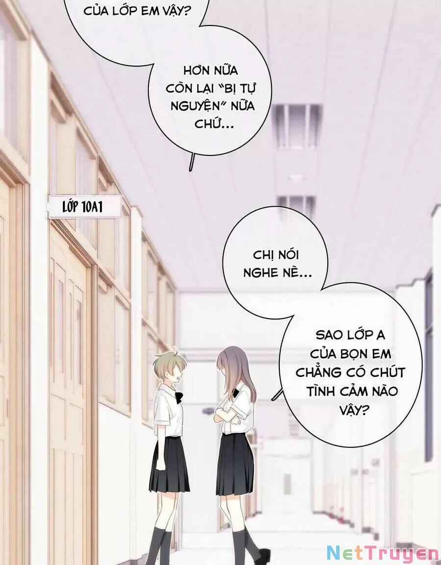 con tim rung động 2 chapter 145 4