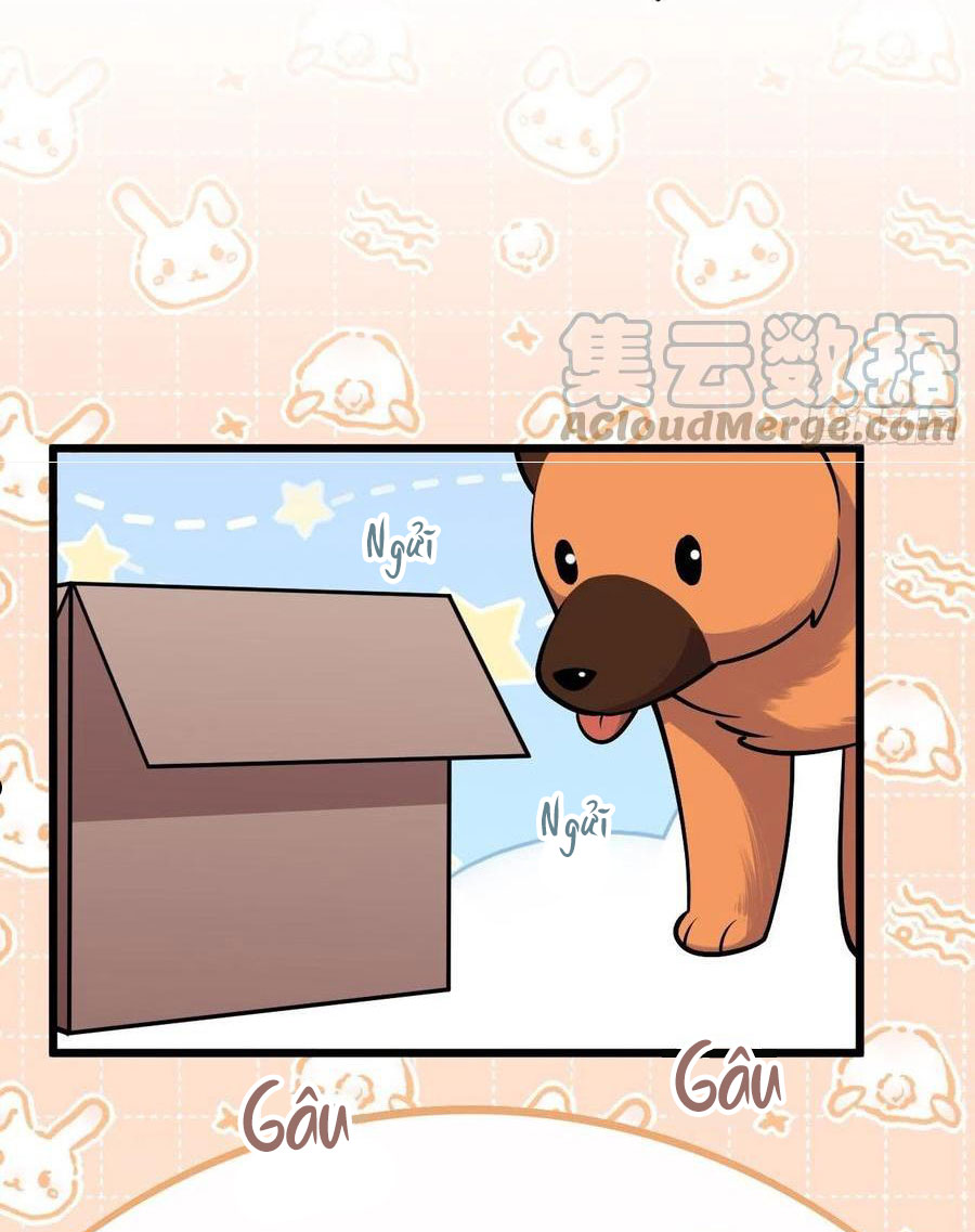 bố vợ đại nhân là bà xã chapter 207 27