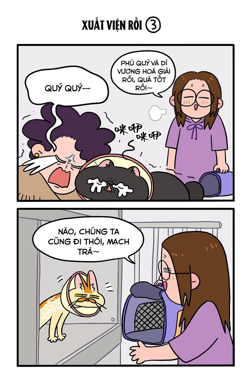 a mãn và mạch trà chapter 21 4