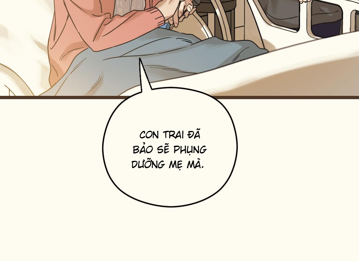 tương phùng chapter 29 142