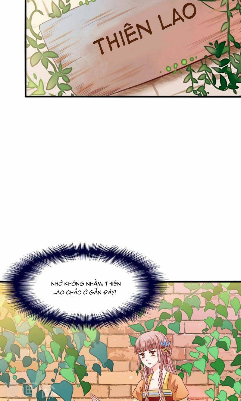 tôi bị gấu trúc nhìn trúng rồi chapter 23 24