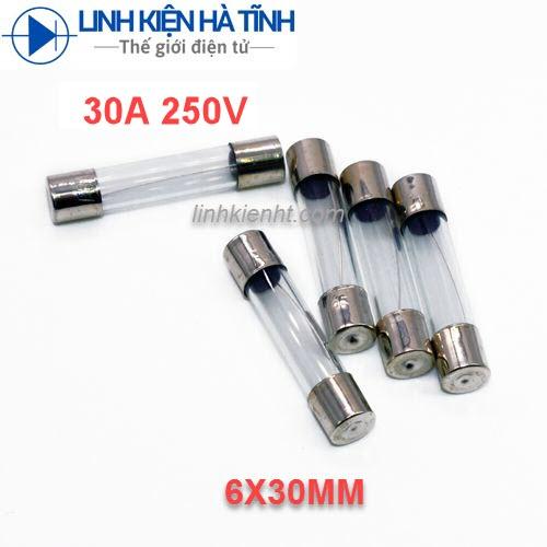 10 CÁI CẦU CHÌ ỐNG 30A 250V 6X30MM