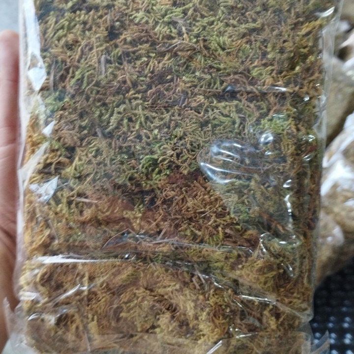 Rêu rừng trồng lan đã xử lý gói 100gram