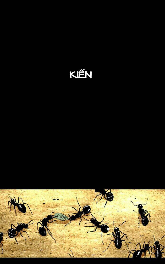 người máy hủy diệt chapter 17 44