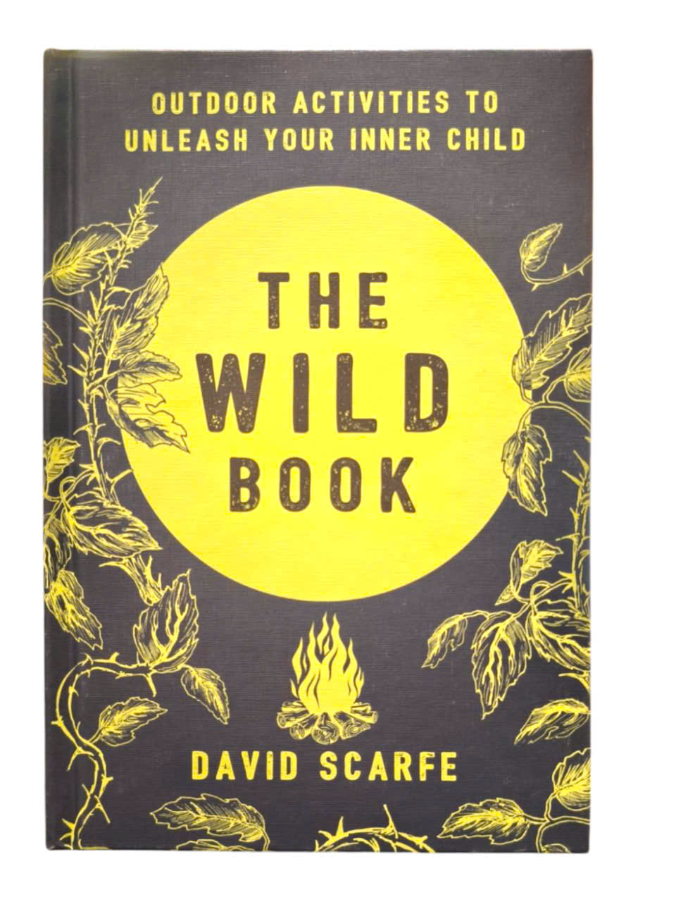 Sách - The Wild Book: Outdoor Activities to Unleash Your Inner Child by David Scarfe