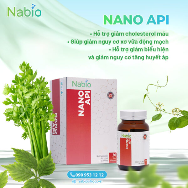 NANO API - HỖ TRỢ ỔN ĐỊNH HUYẾT ÁP, GIẢM MỠ MÁU VÀ NGUY CƠ XƠ VỮA MẠCH MÁU NÃO