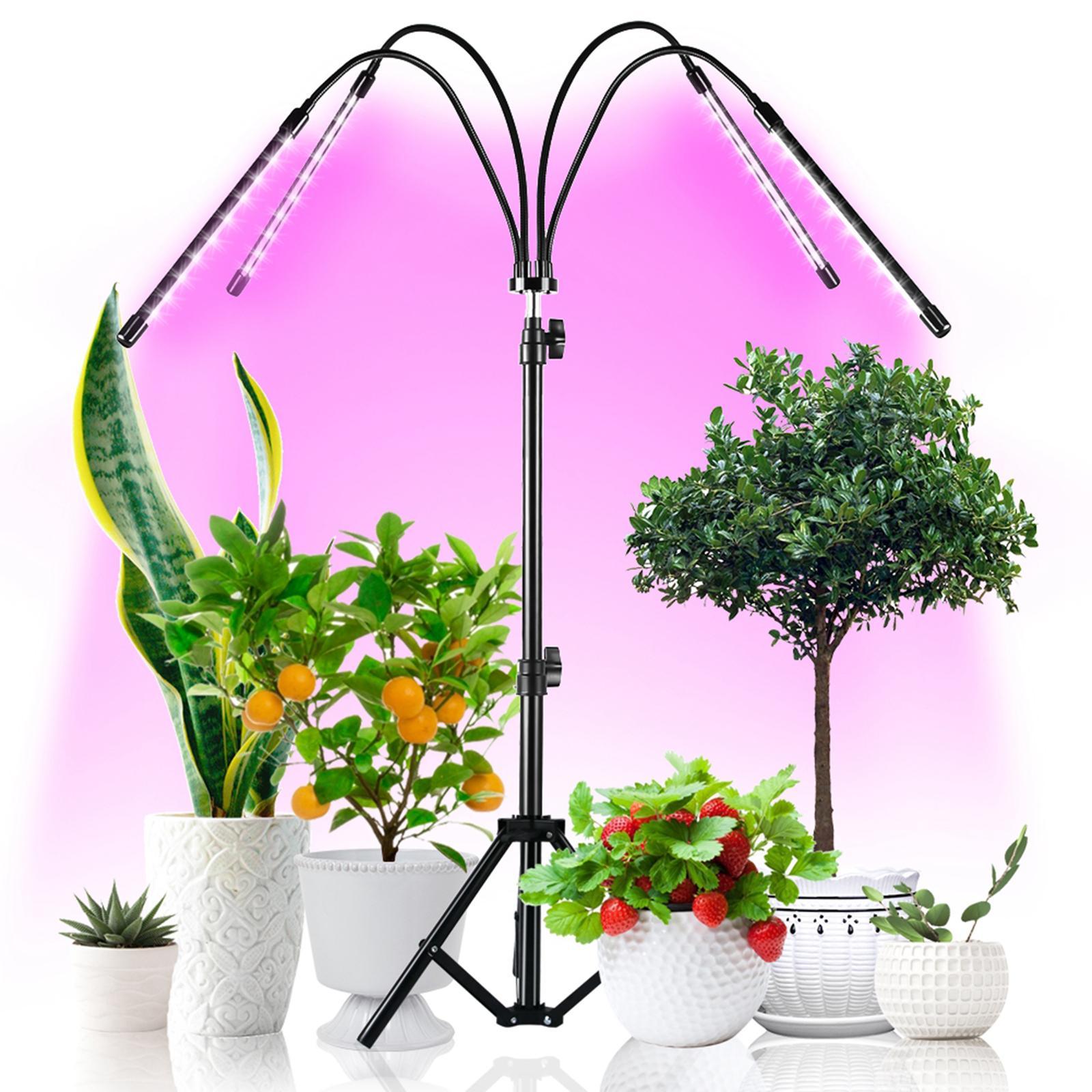 LED Grow Light Full Spectrum Lamp for Indoor Plant with Timer