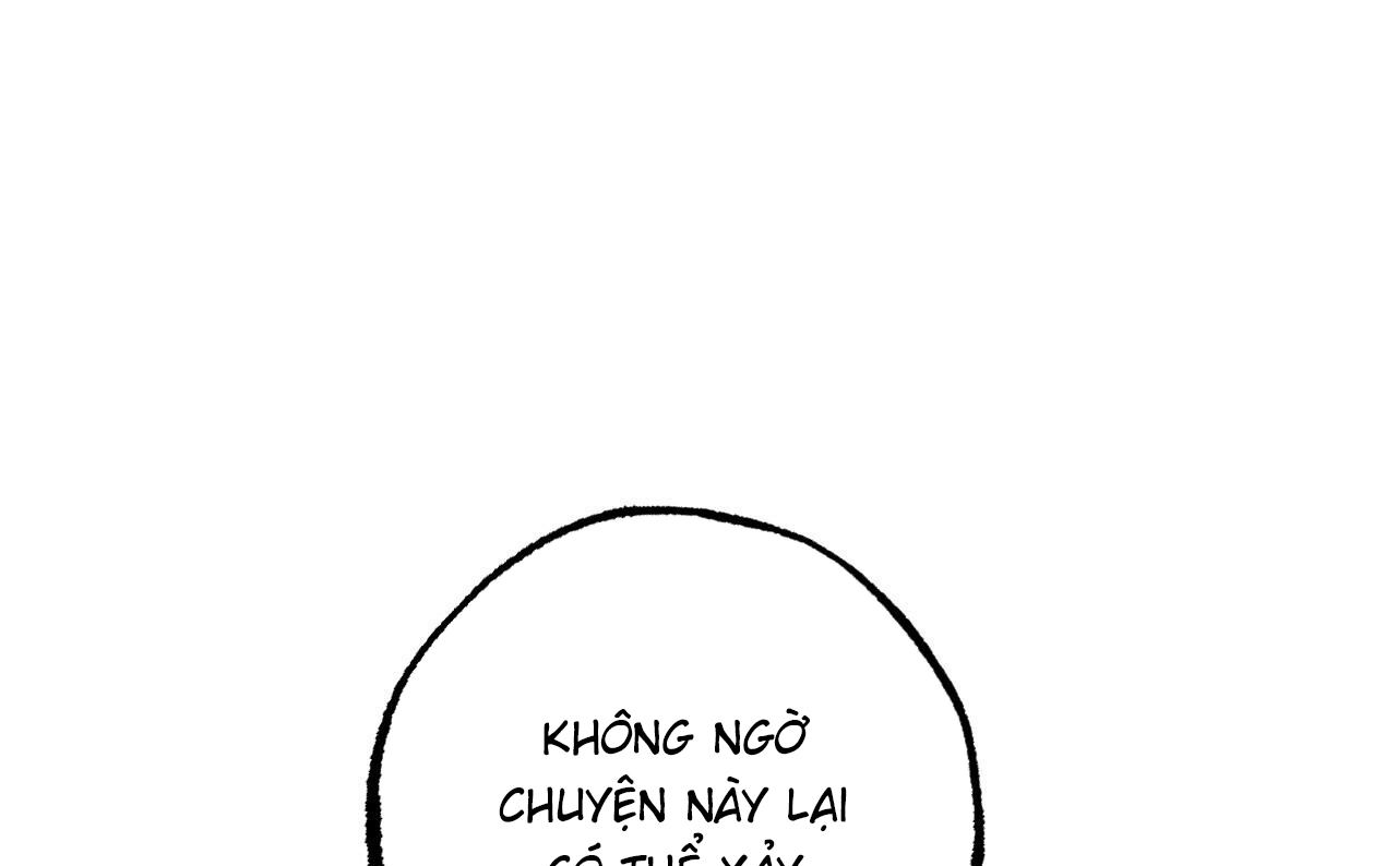 những chú thỏ của hapypy chapter 52 176