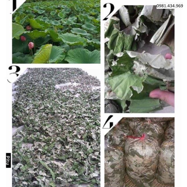 Lá sen khô giảm cân, ngủ ngon, hạ mỡ máu 0,5kg