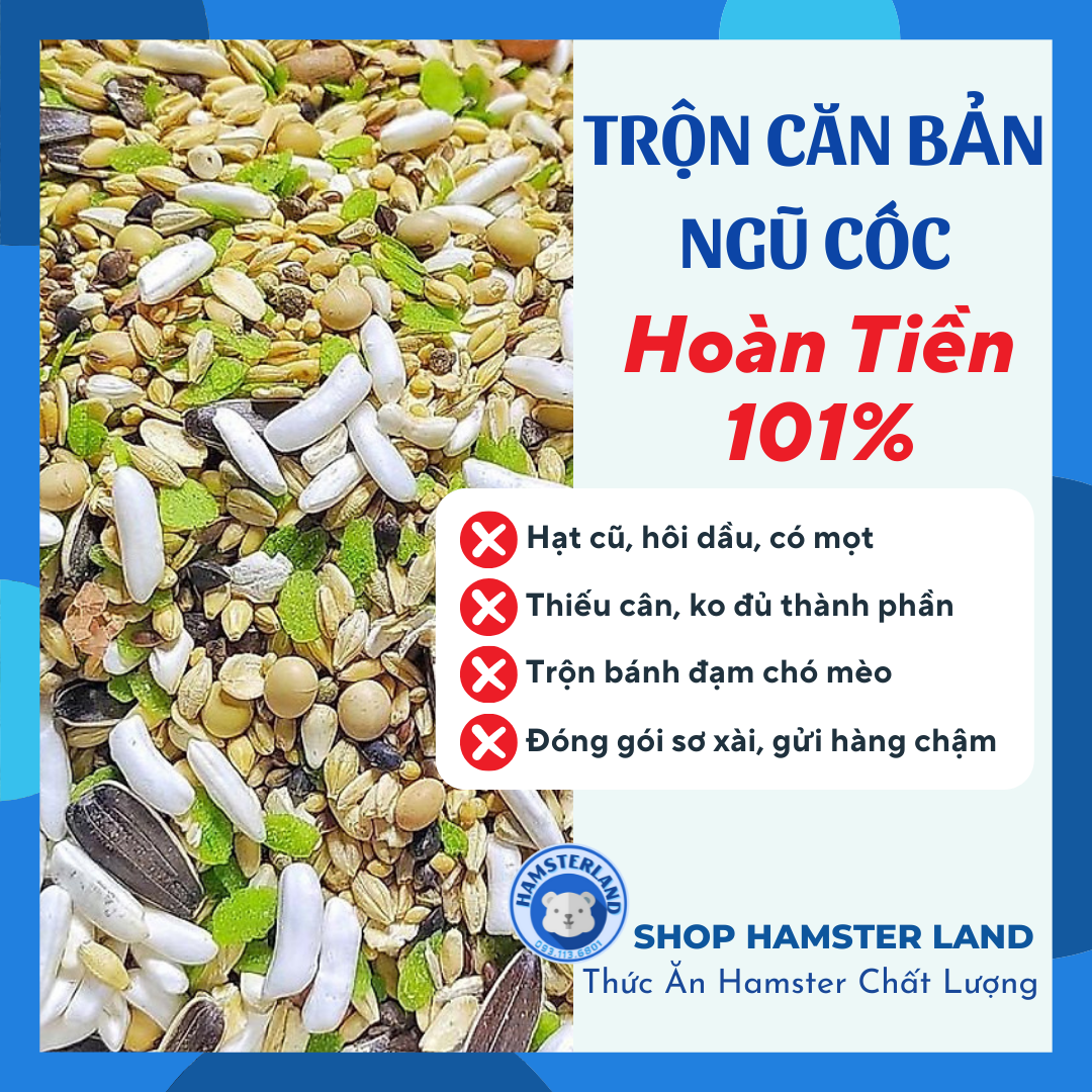 Thức Ăn Trộn Hamster Căn Bản 500g - Khẩu phần ăn hằng ngày với đậu hạt ngũ cốc cần thiết.KO ĐỘN BÁNH CHÓ MÈO