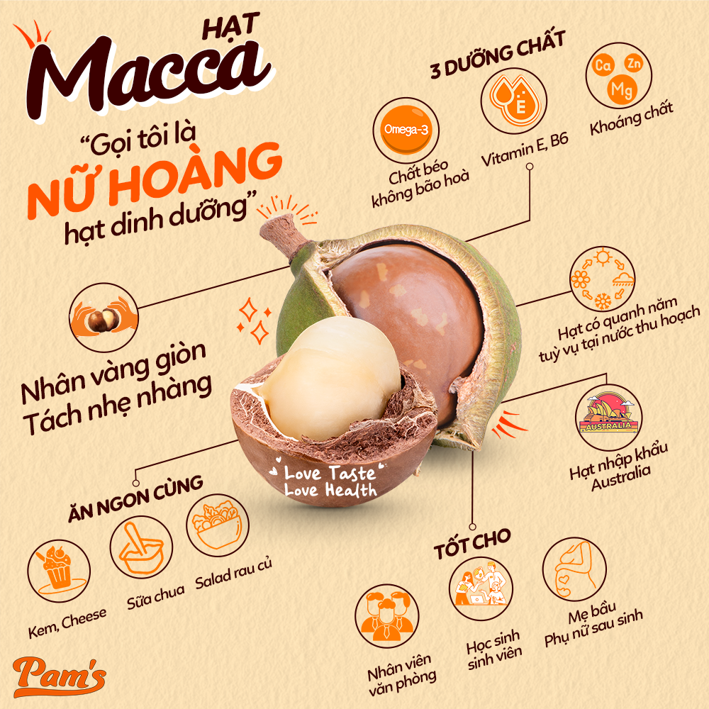 Hạt Macca Úc Nứt Vỏ Pams [Tặng kèm khui hạt] Macca Hữu Cơ Nhập Khẩu Úc, Hạt A Size 25-28