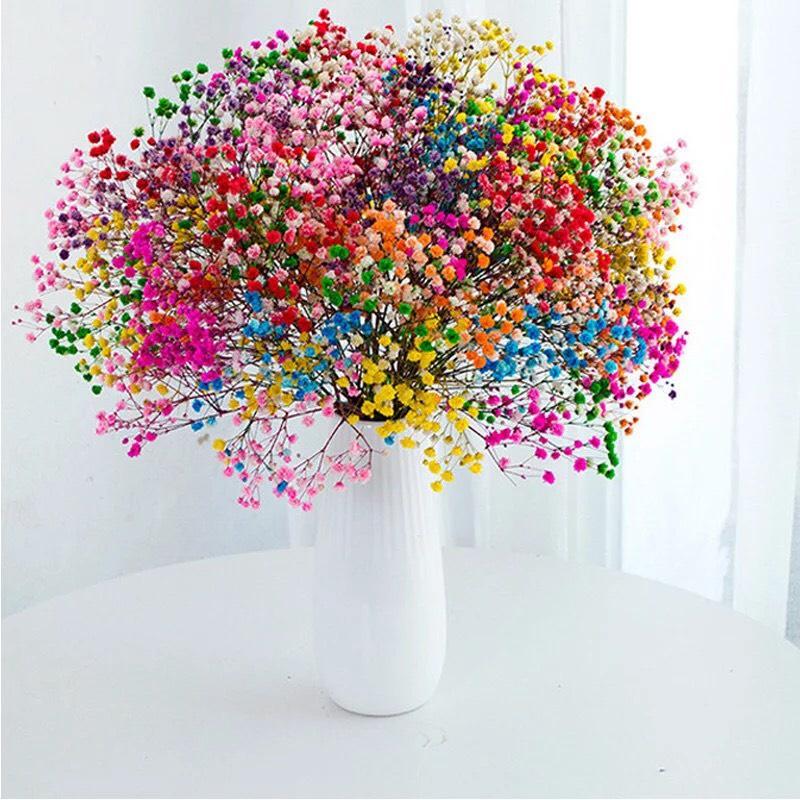 Hoa Khô - Bó 100g Hoa Baby Bloom Tuyệt Đẹp Phong Cách Vintage Trang Trí Nhà Cửa, Làm Hoa Cưới