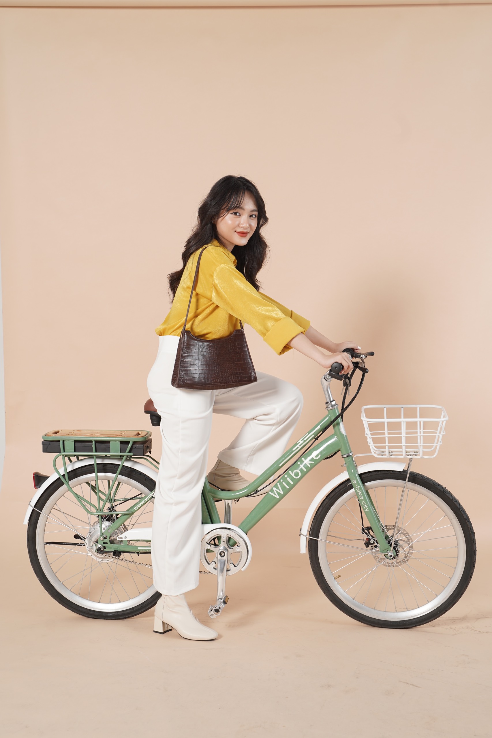 Xe đạp trợ lực điện Wiibike Summer 36V - City