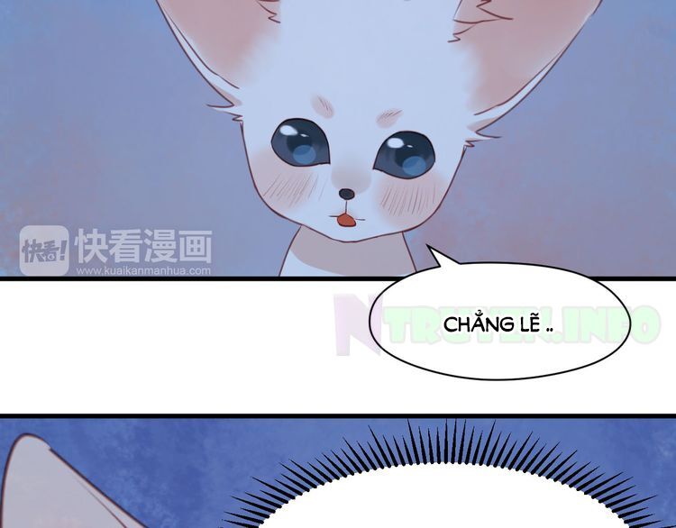 lượm được một tiểu hồ ly phần 1 chapter 52 22