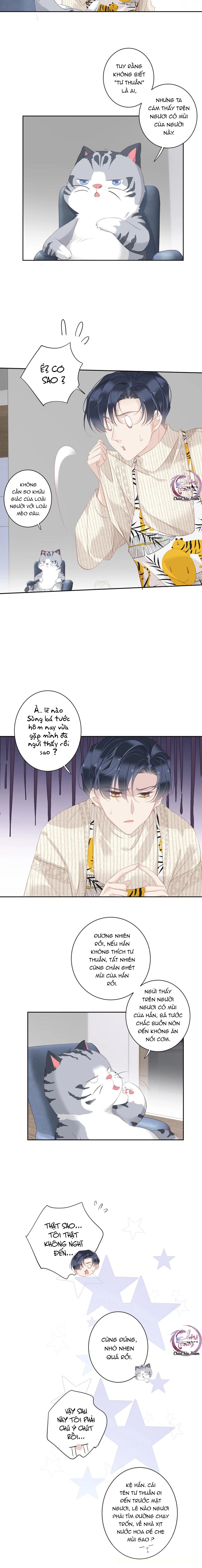 cuộc mai mối vượt giống loài chapter 32 5