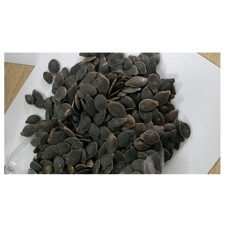 Gói 0.1g hạt giống mướp khía Thái Lan F1 SV 29