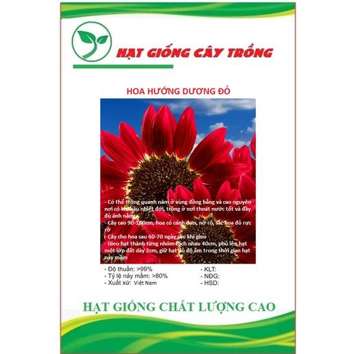 Hạt giống hoa hướng dương đỏ CT179 - Gói 30 hạt