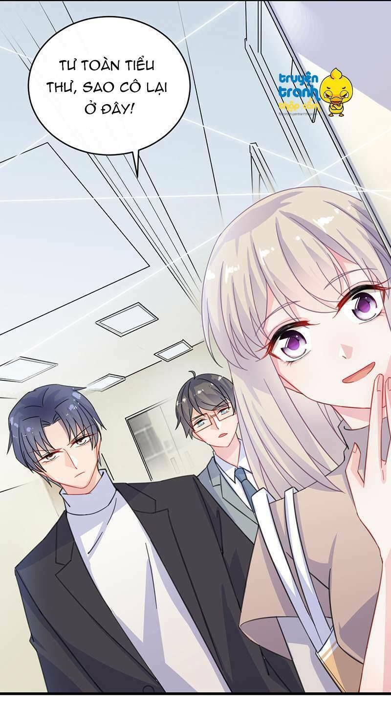 chọc tới chủ tịch tổng tài 2 chapter 14 24