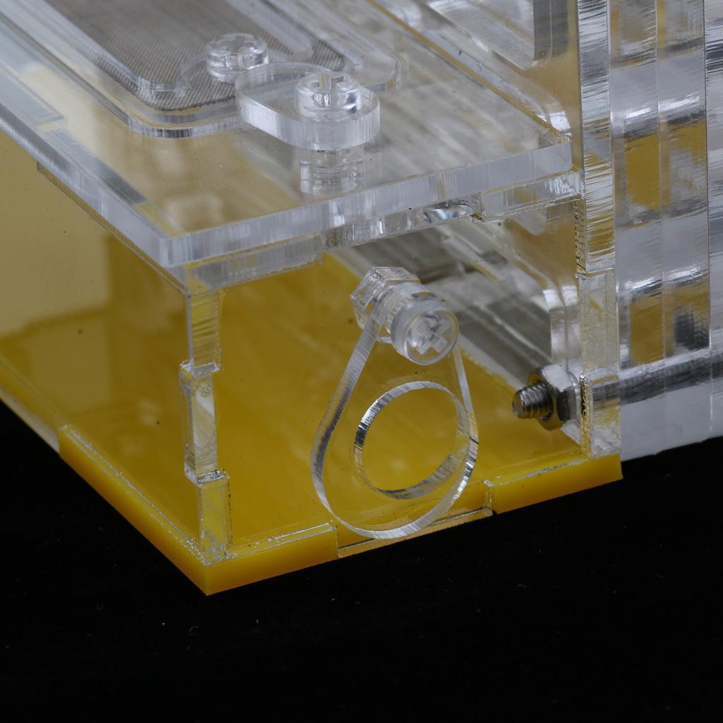 Clear Insect Ant Housing Acrylic Nest Ants Feed Farm Formicarium Box